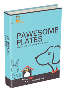 Free Ebook Real Food For Our Dogs Cats PawesomePlates